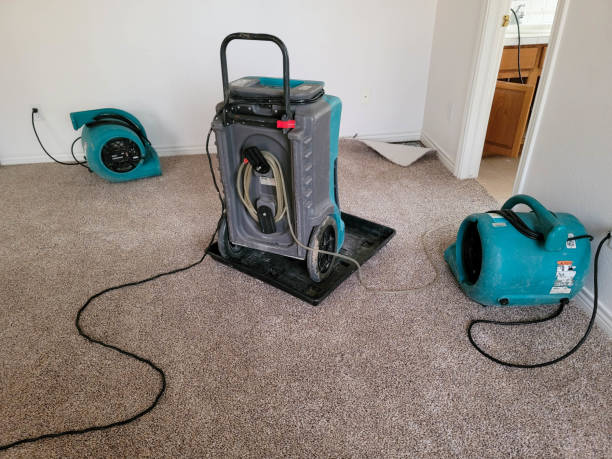 Best Sewage cleanup and water damage restoration  in Dormont, PA