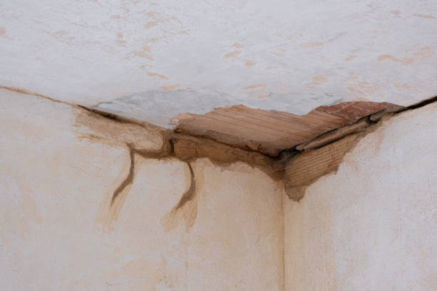 Best Emergency water damage restoration  in Dormont, PA