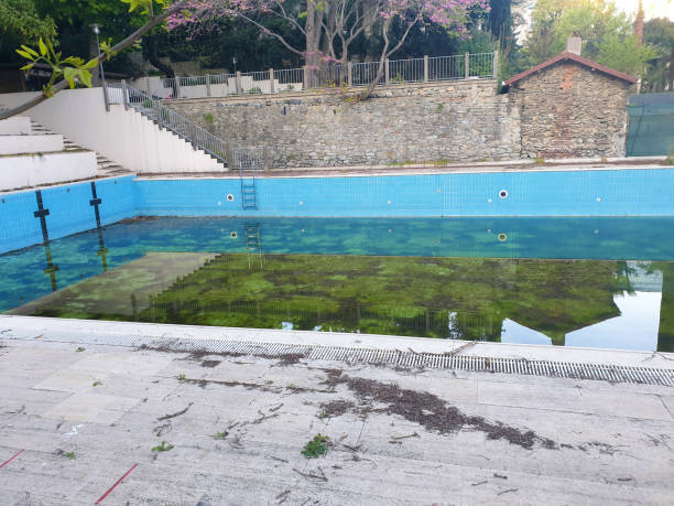 Best Flood restoration services  in Dormont, PA