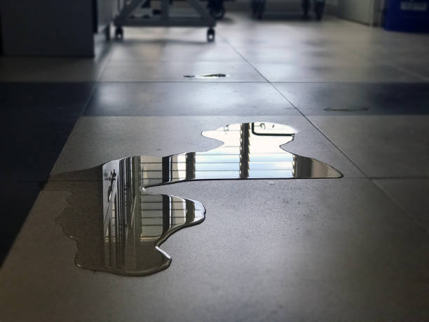Best Commercial water damage restoration  in Dormont, PA