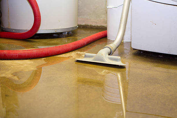 Best Water damage cleanup near me  in Dormont, PA
