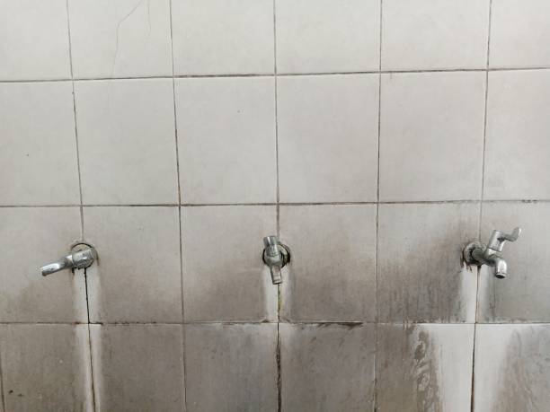 Best Water damage cleanup near me  in Dormont, PA