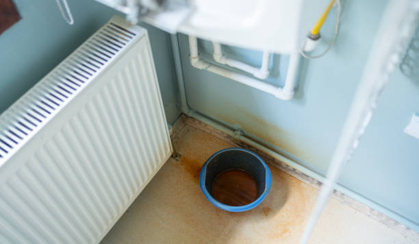 Best Water damage restoration process  in Dormont, PA