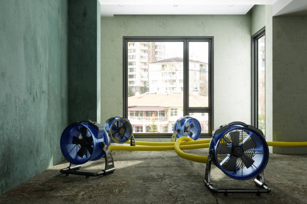 Sewage cleanup and water damage restoration in Dormont, PA